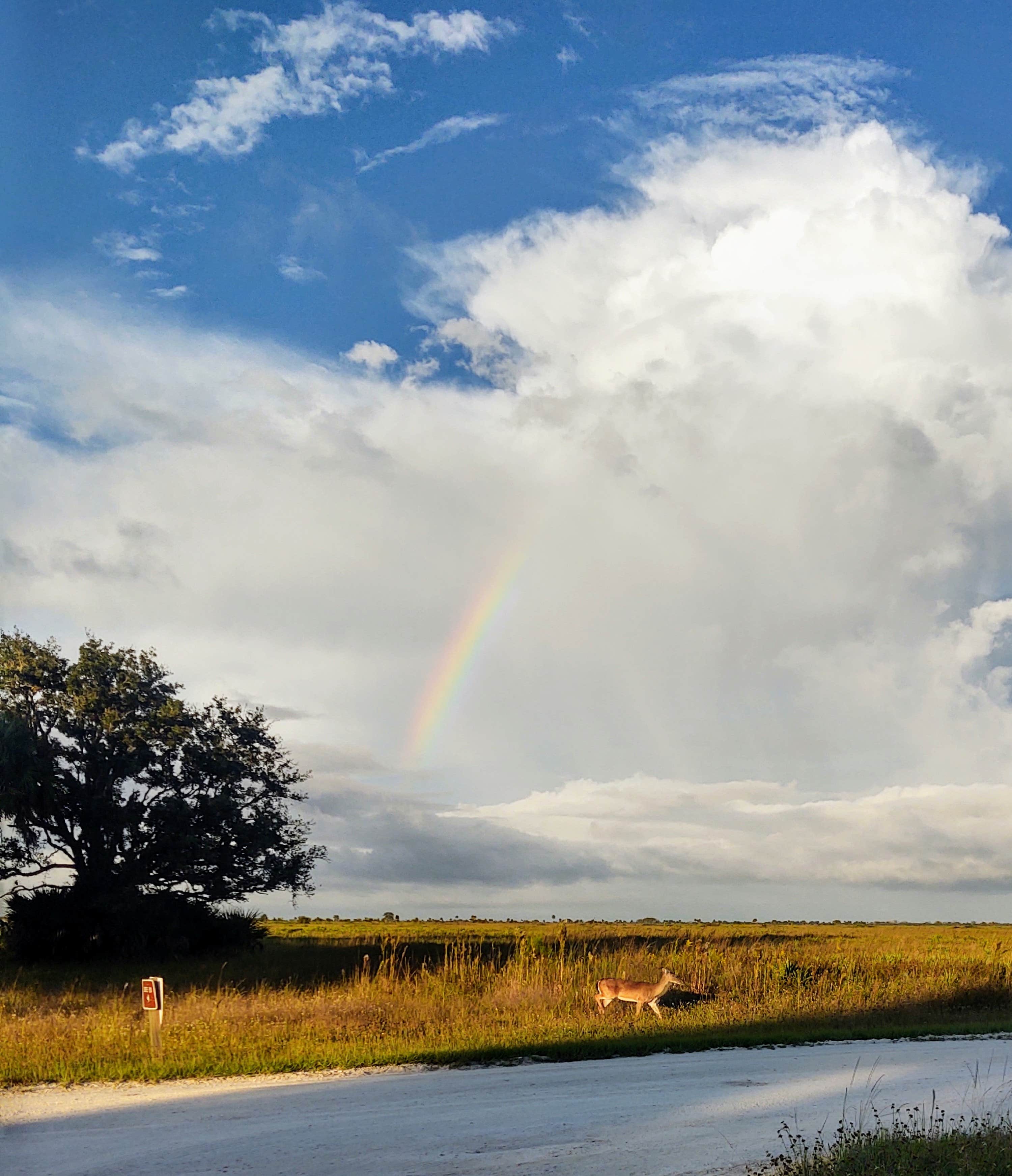 Camper-submitted photo at Kilpatrick Hammock Campground — Kissimmee Prairie Preserve State Park near Port St. Lucie, FL