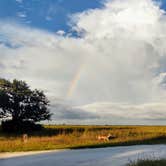 Review photo of Kilpatrick Hammock Campground — Kissimmee Prairie Preserve State Park by Davida M., January 3, 2021