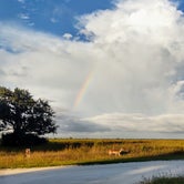 Review photo of Kissimmee Prairie Preserve State Park by Davida M., January 3, 2021