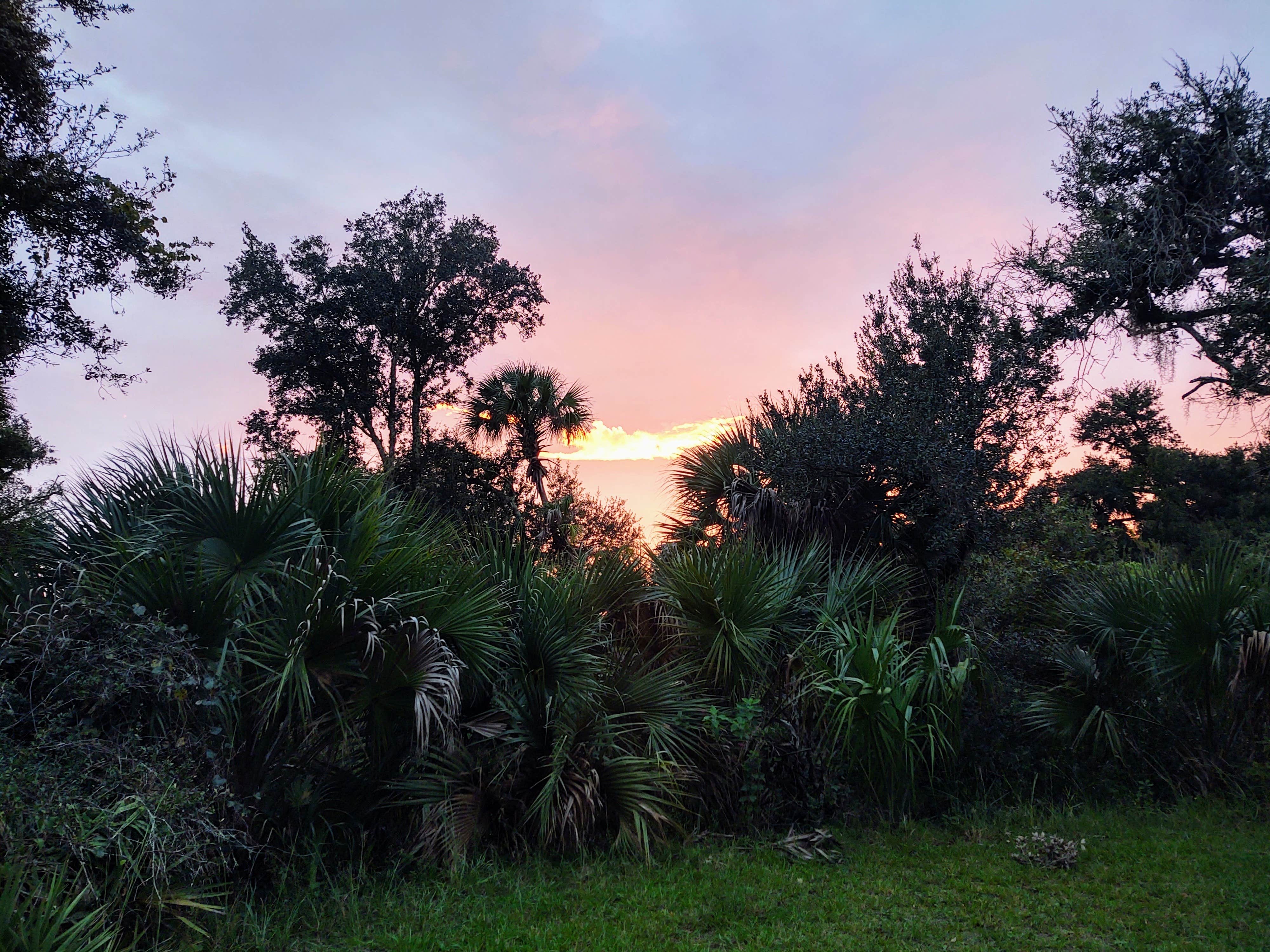 Camper-submitted photo at Kilpatrick Hammock Campground — Kissimmee Prairie Preserve State Park near Port St. Lucie, FL