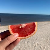 Review photo of Magnolia Beach by Caitlin R., January 4, 2021