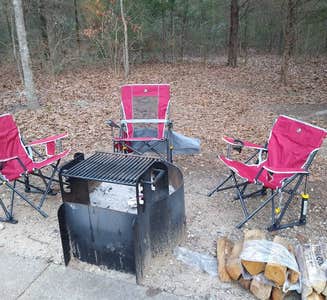 Camper-submitted photo from Purtis Creek State Park Campground