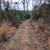 Review photo of Atlanta State Park Campground by Alexandra , January 4, 2021
