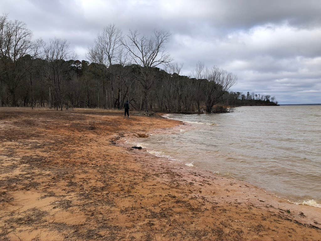 Camper-submitted photo at Atlanta State Park Campground near Saratoga, AR