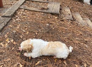 High Falls State Park Campground