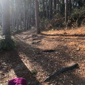Review photo of Daingerfield State Park Campground by Alexandra , January 4, 2021