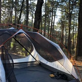 Review photo of Daingerfield State Park Campground by Alexandra , January 4, 2021