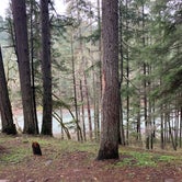 Review photo of Whistlers Bend County Park by janelle H., January 4, 2021