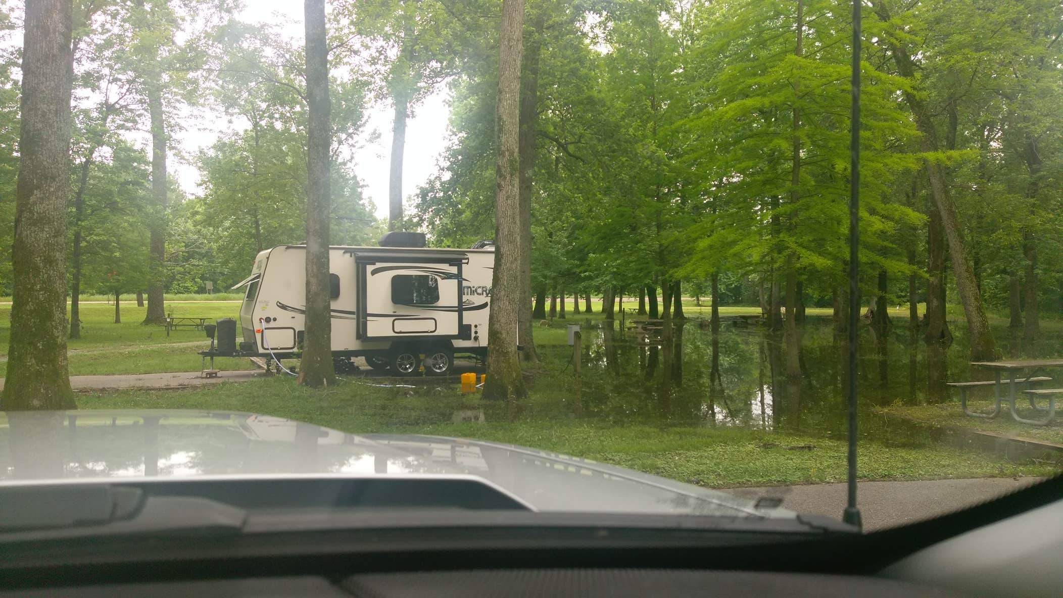 Rosa B.'s photo of rv camping at Reelfoot Lake State Park Campgrounds near Troy, TN