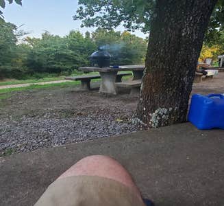 Camper-submitted photo from The Shady Grove — Tenkiller State Park