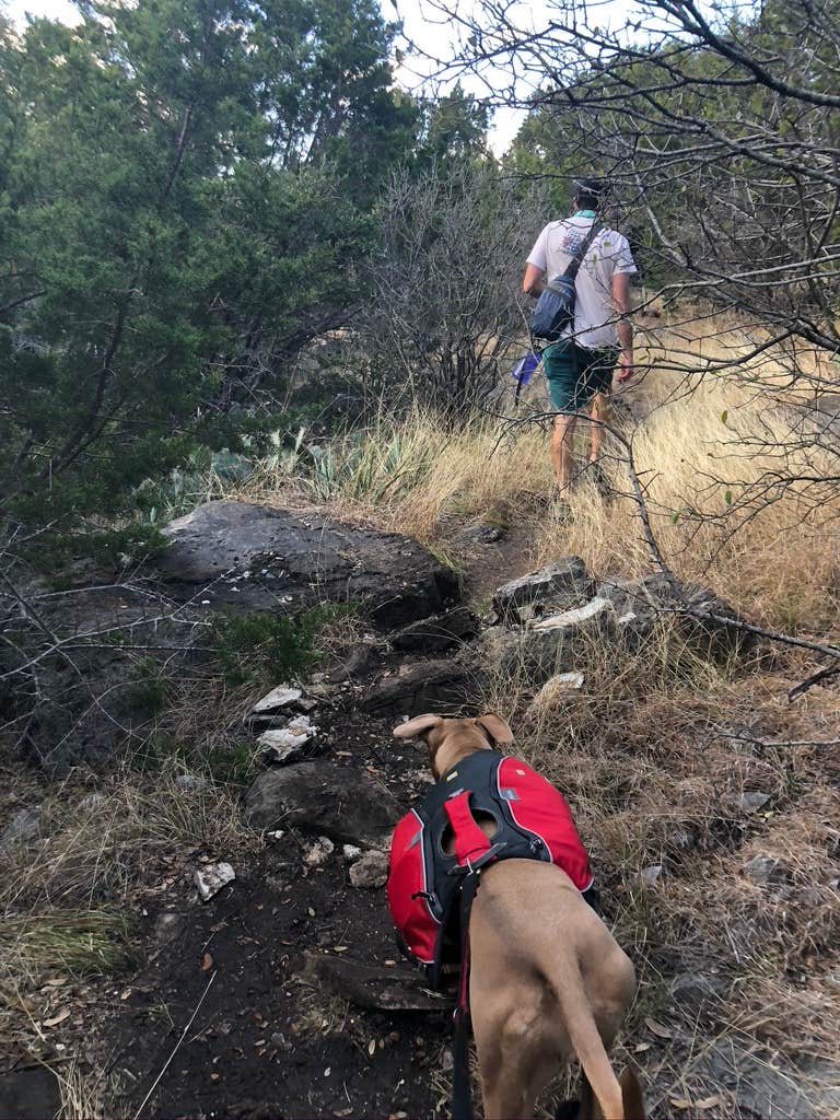 Camper submitted image from Windmill Backback Area — Colorado Bend State Park - 5