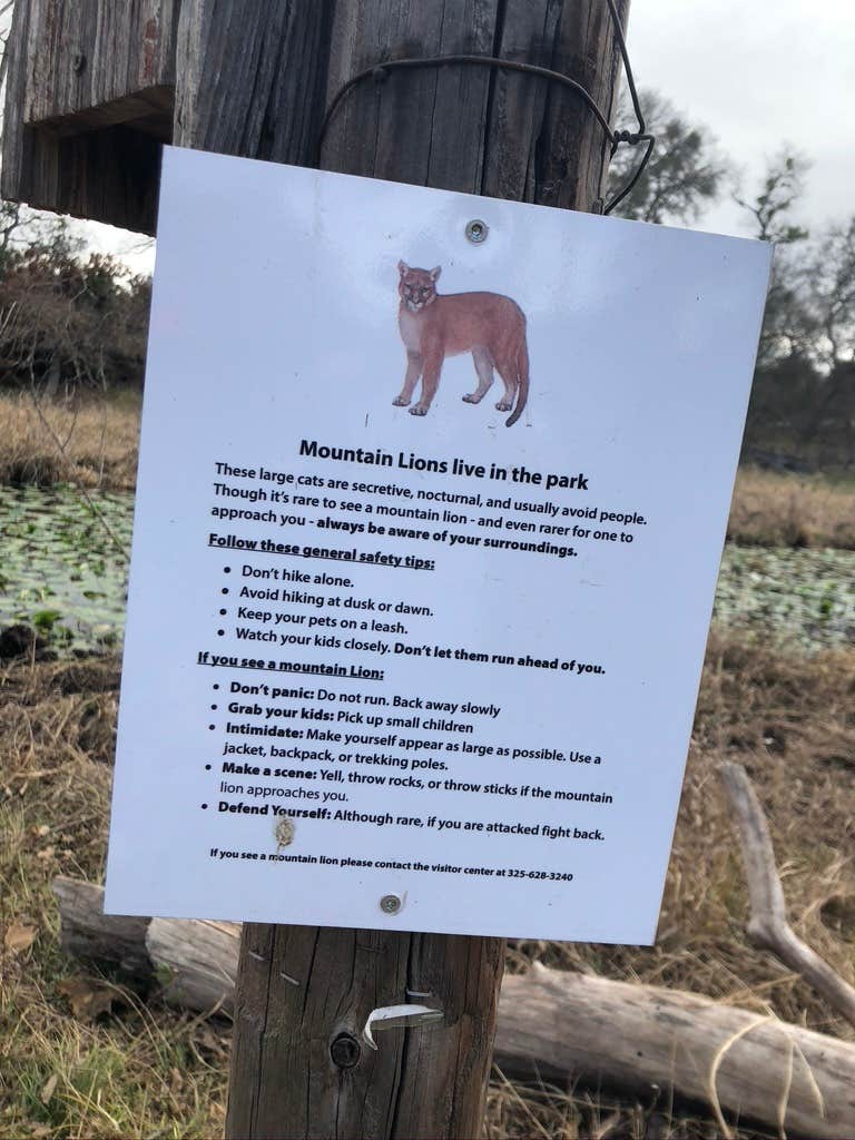Alexandra's photo of camping with pets at Windmill Backback Area — Colorado Bend State Park near San Saba, TX