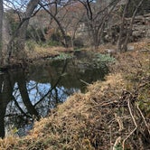 Review photo of Windmill Backback Area — Colorado Bend State Park by Alexandra , January 4, 2021