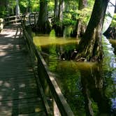 Review photo of Reelfoot Lake State Park Campgrounds by Rosa B., May 27, 2018