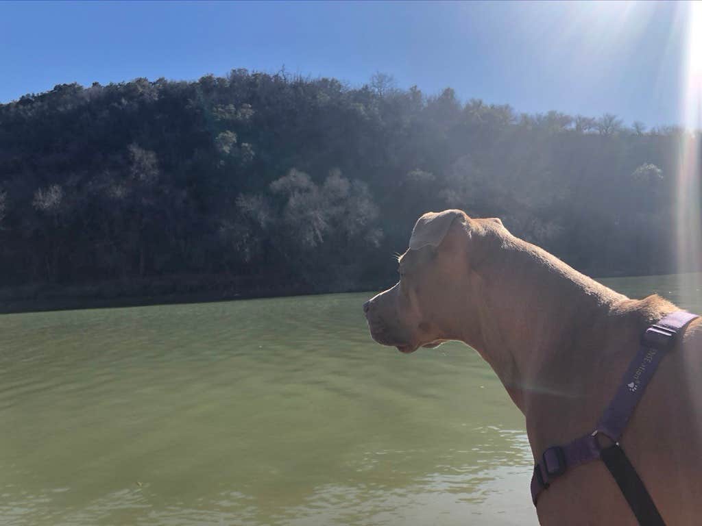 Camper submitted image from Windmill Backback Area — Colorado Bend State Park - 2