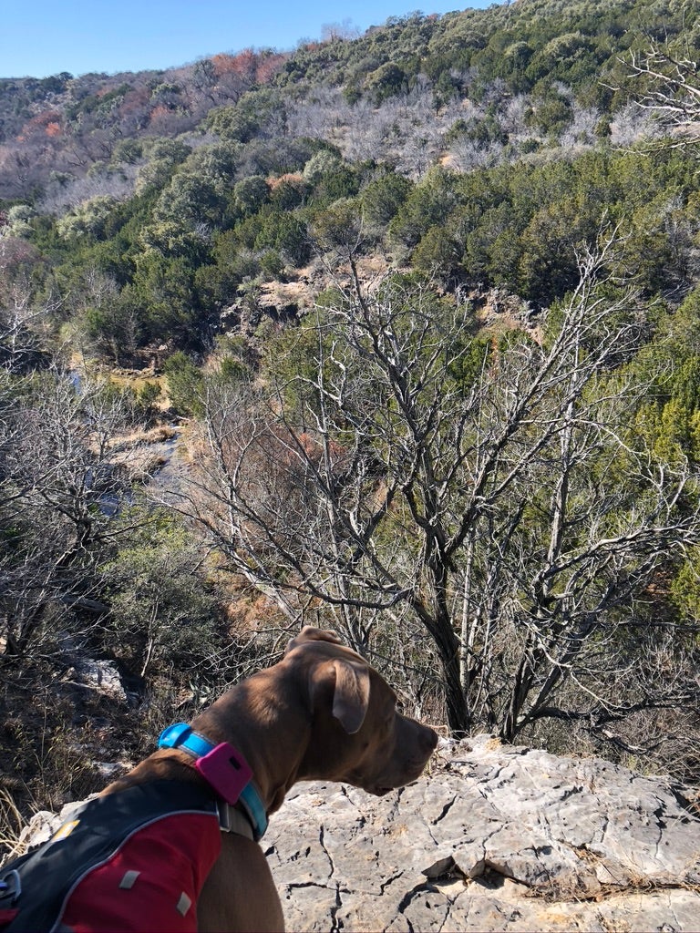Camper submitted image from Windmill Backback Area — Colorado Bend State Park - 3
