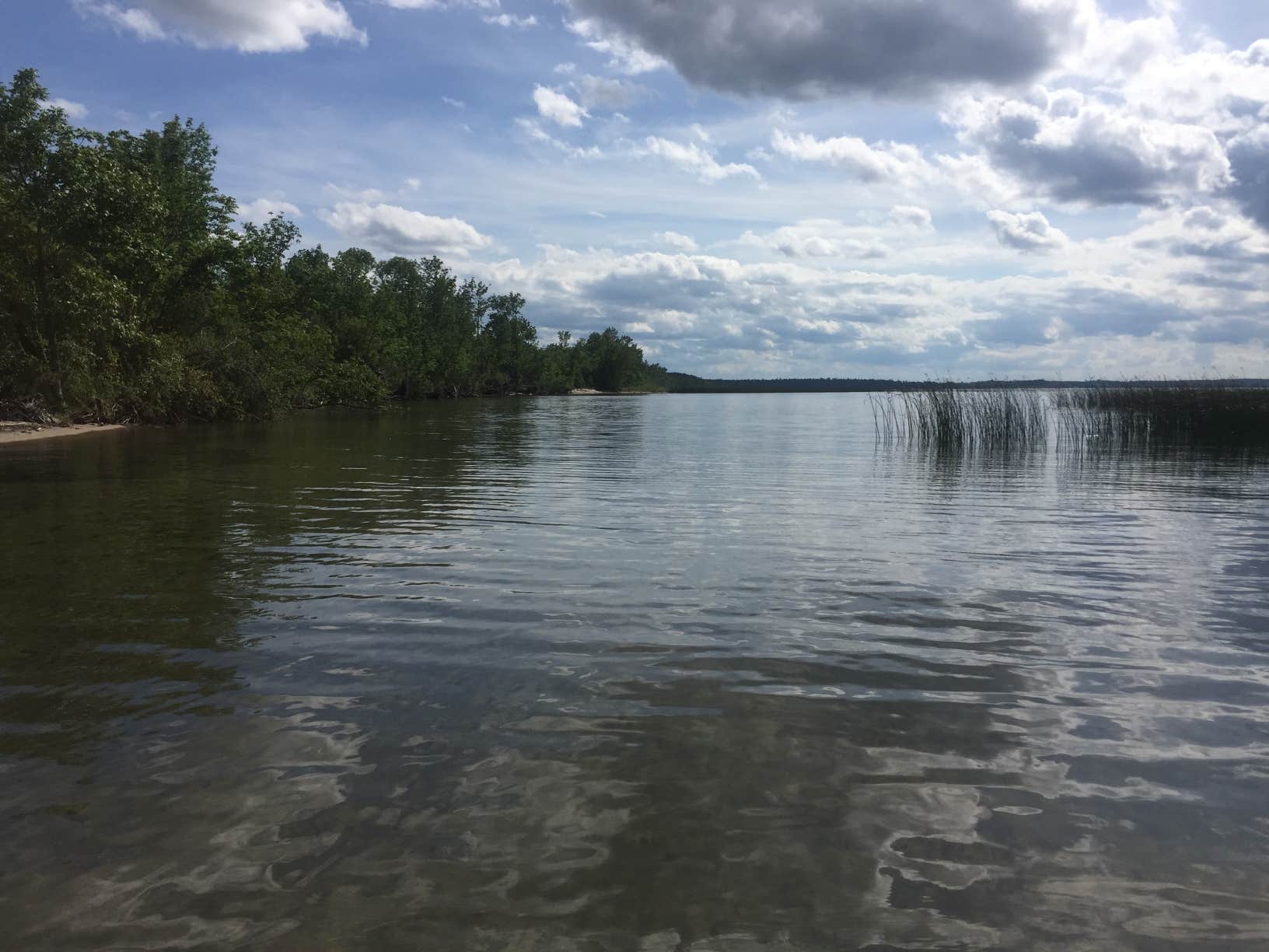 Camper submitted image from Cass Lake Loop - 3