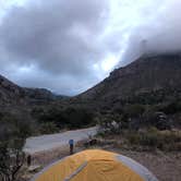 Review photo of Chisos Basin Campground (Big Bend, Tx) — Big Bend National Park by Alexandra , January 4, 2021