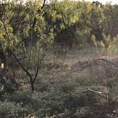 Review photo of Inks Lake State Park Campground by Alexandra , January 4, 2021