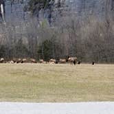 Review photo of Steel Creek Campground — Buffalo National River by Stephen R., January 4, 2021