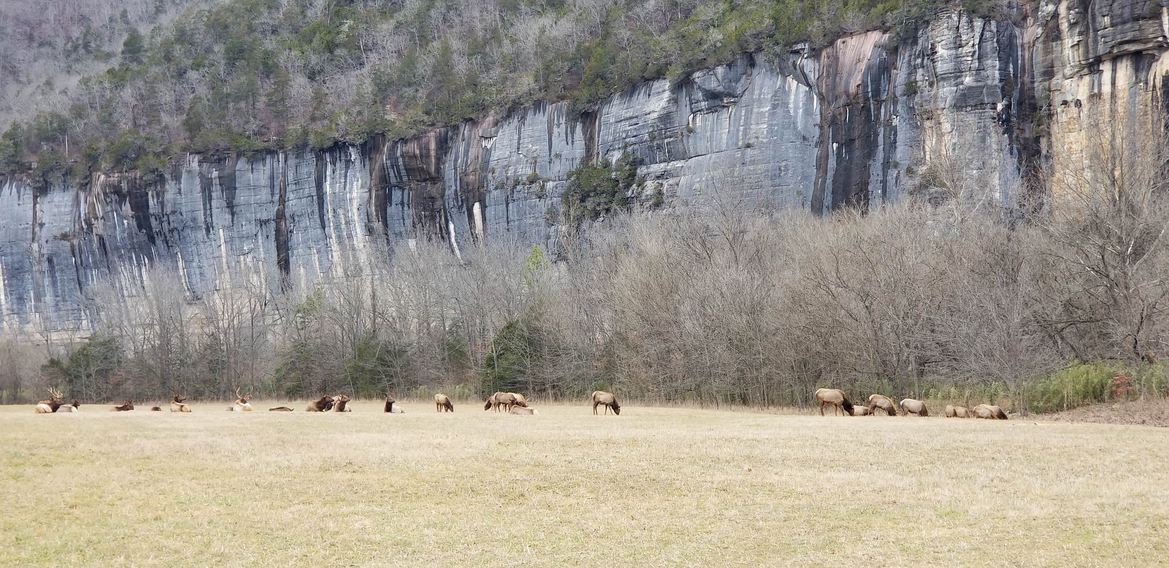 Steel Creek Campground - Buffalo National River | The Dyrt