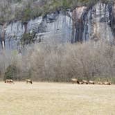 Review photo of Steel Creek Campground — Buffalo National River by Stephen R., January 4, 2021