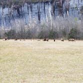 Review photo of Steel Creek Campground — Buffalo National River by Stephen R., January 4, 2021