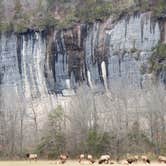 Review photo of Steel Creek Campground — Buffalo National River by Stephen R., January 4, 2021