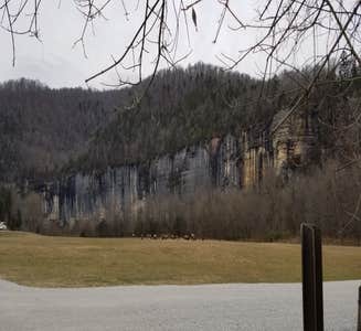 Camper-submitted photo from Steel Creek Campground — Buffalo National River