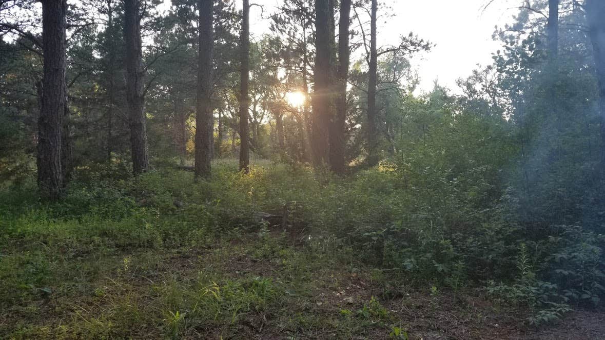 Camper-submitted photo at Steer Creek Campground near Merriman, NE