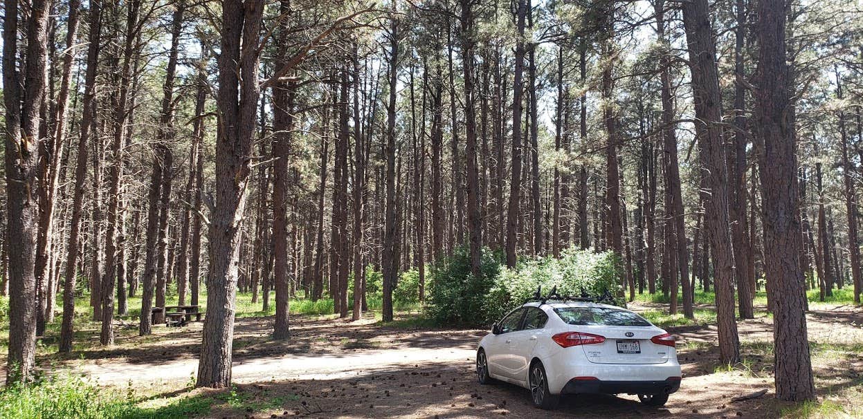 Camper-submitted photo at Steer Creek Campground near Merriman, NE