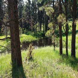 Steer Creek Campground