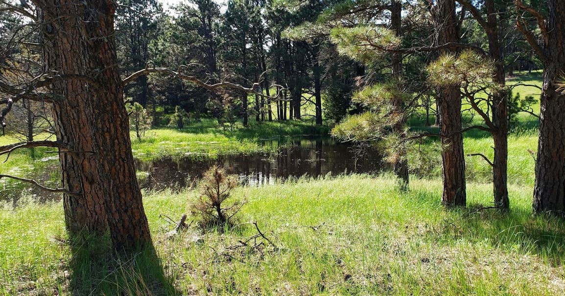 Steer Creek Campground