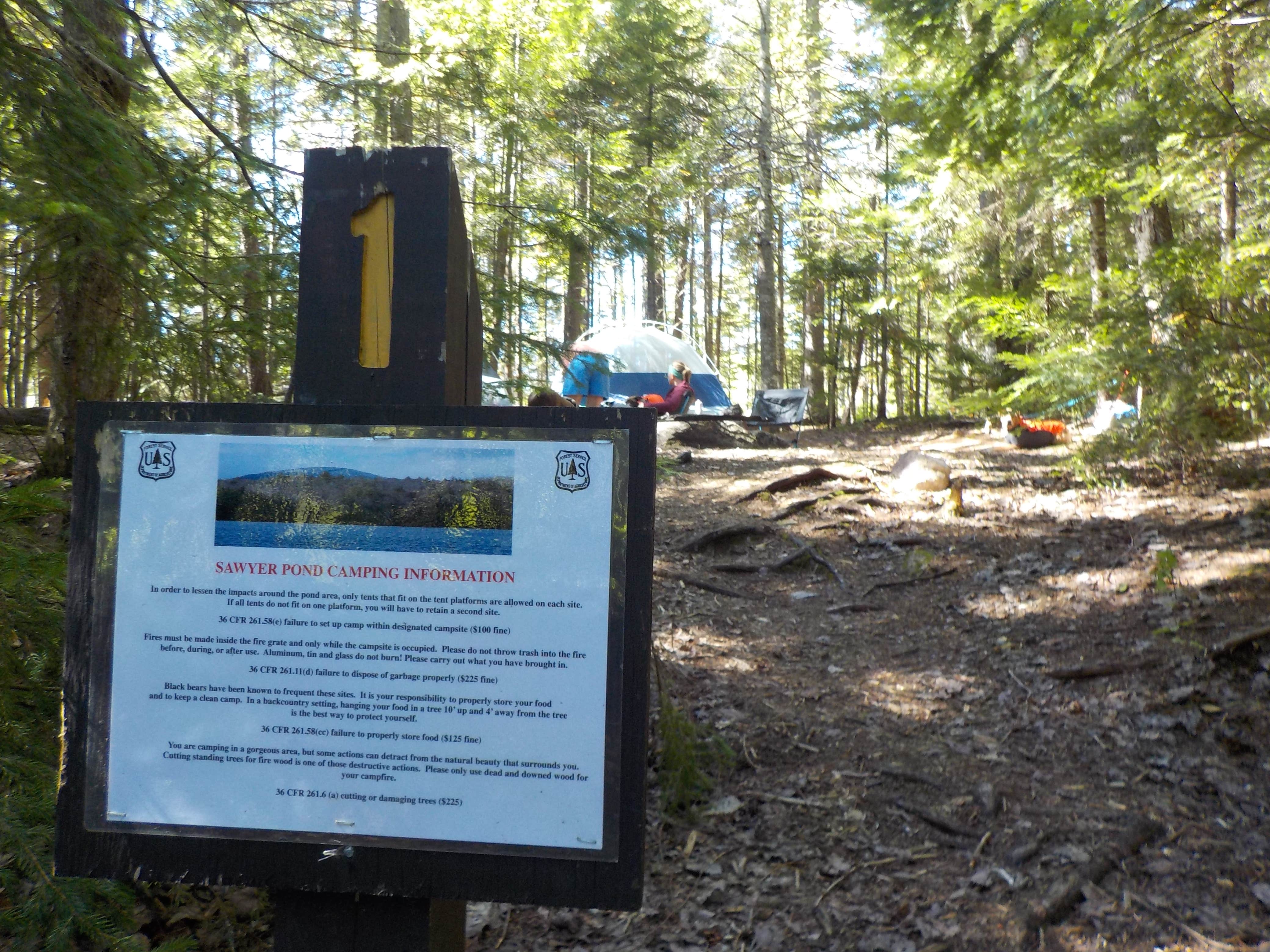 Sarah C.'s photo of tent camping at Sawyer Pond near Naples, ME
