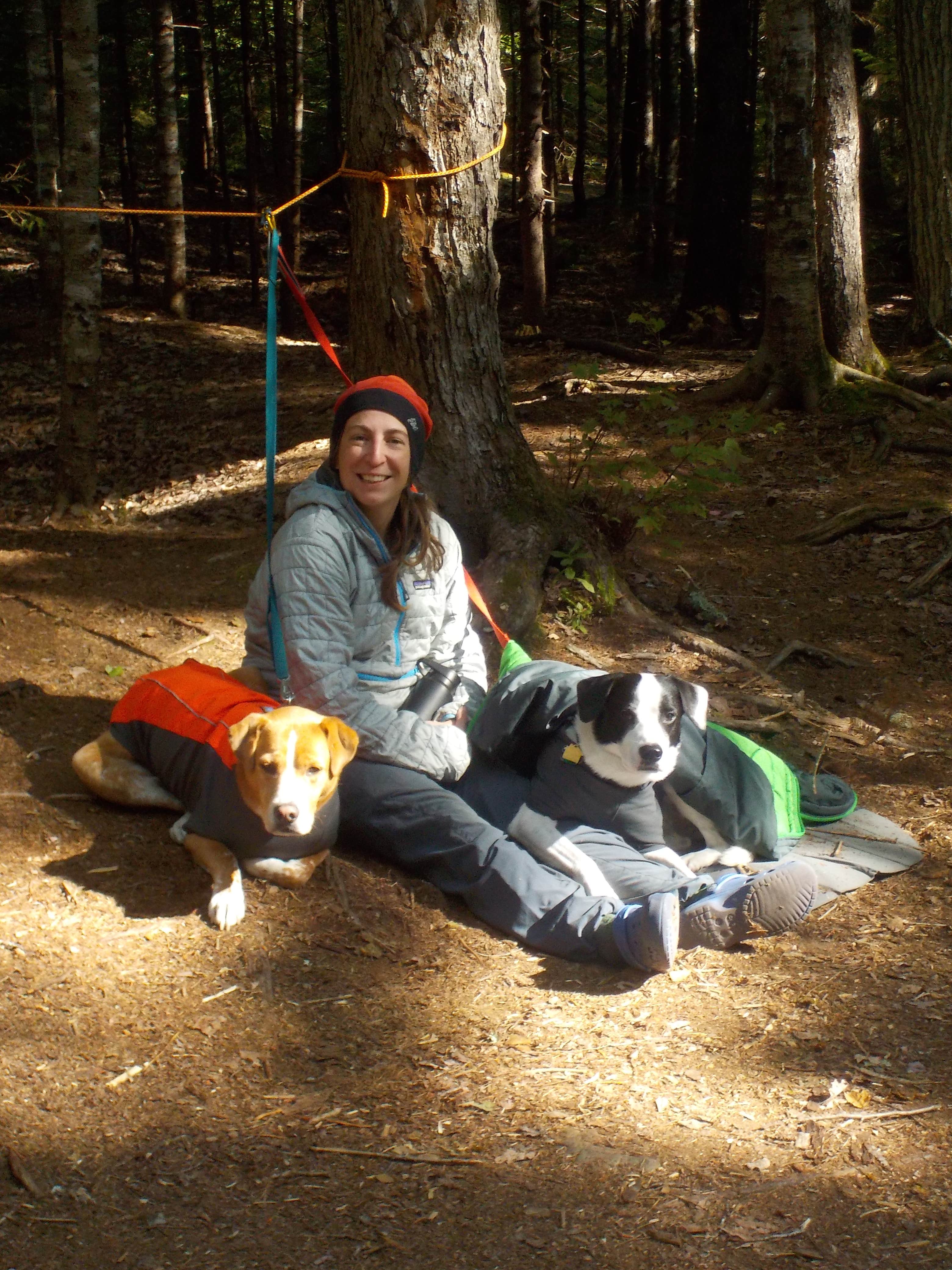 Sarah C.'s photo of camping with pets at Sawyer Pond near Jackson, NH