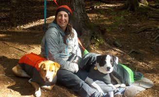 Sarah C.'s photo of camping with pets at Sawyer Pond in New Hampshire