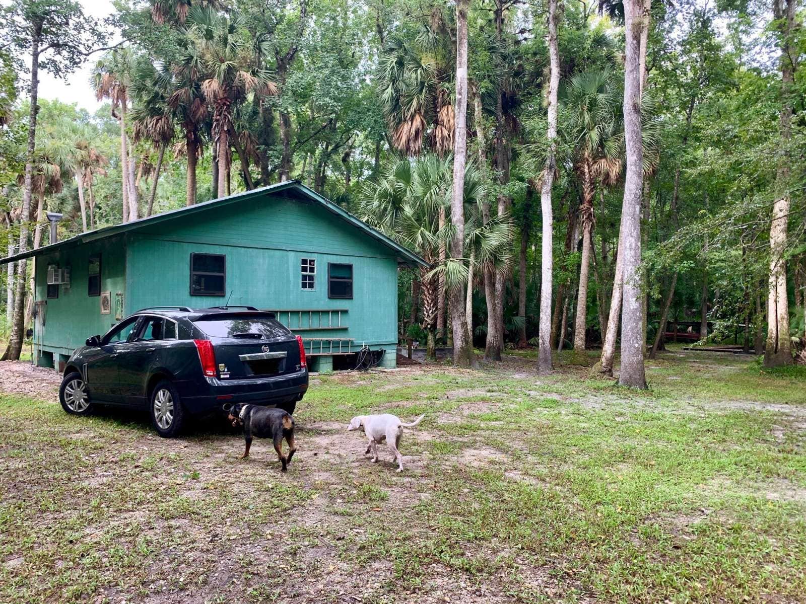 Camper submitted image from The Wekiva River Experience - 3