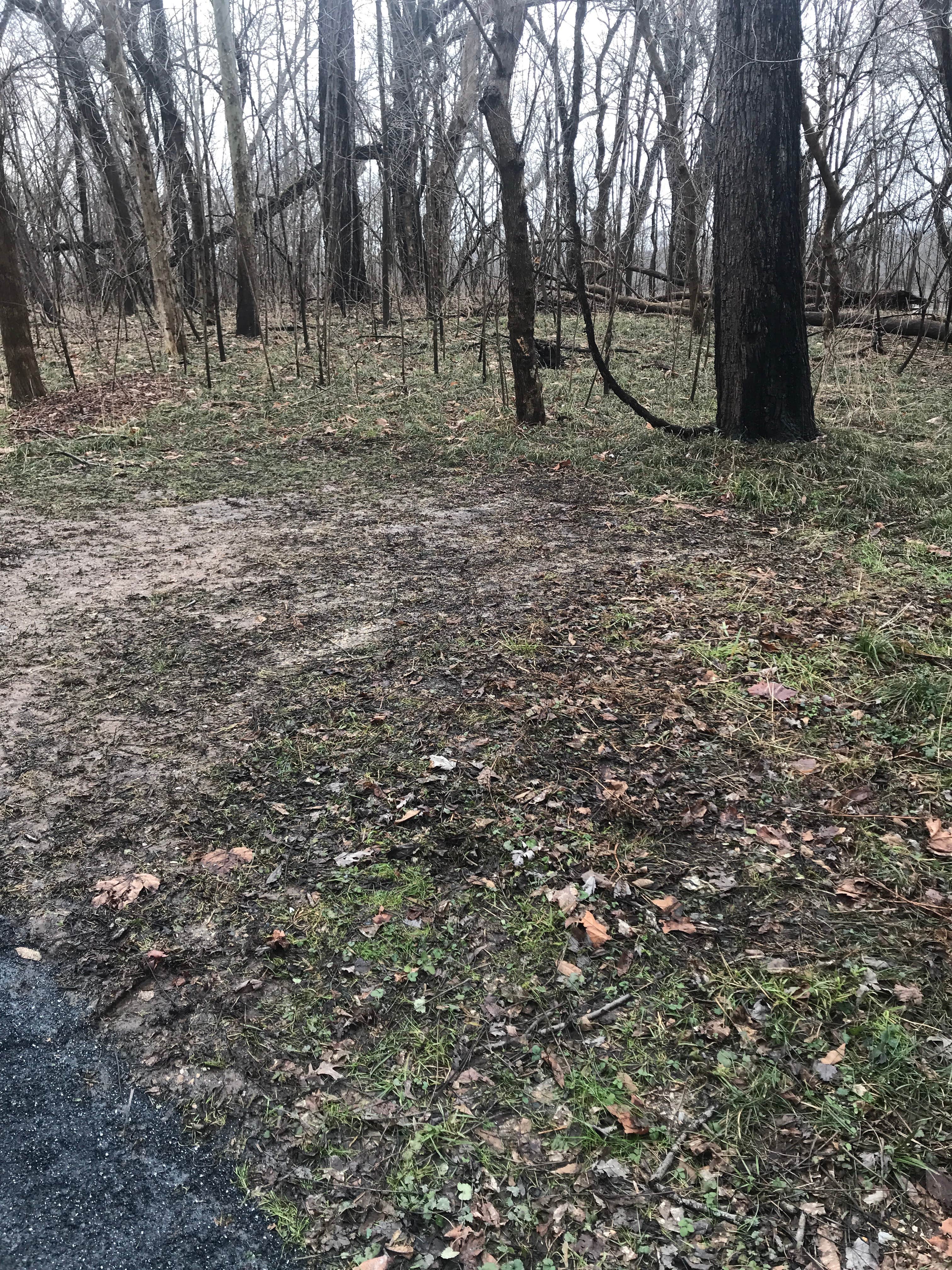 Camper submitted image from Chisel Branch Hiker-Biker Overnight Campsite — Chesapeake and Ohio Canal National Historical Park - 3