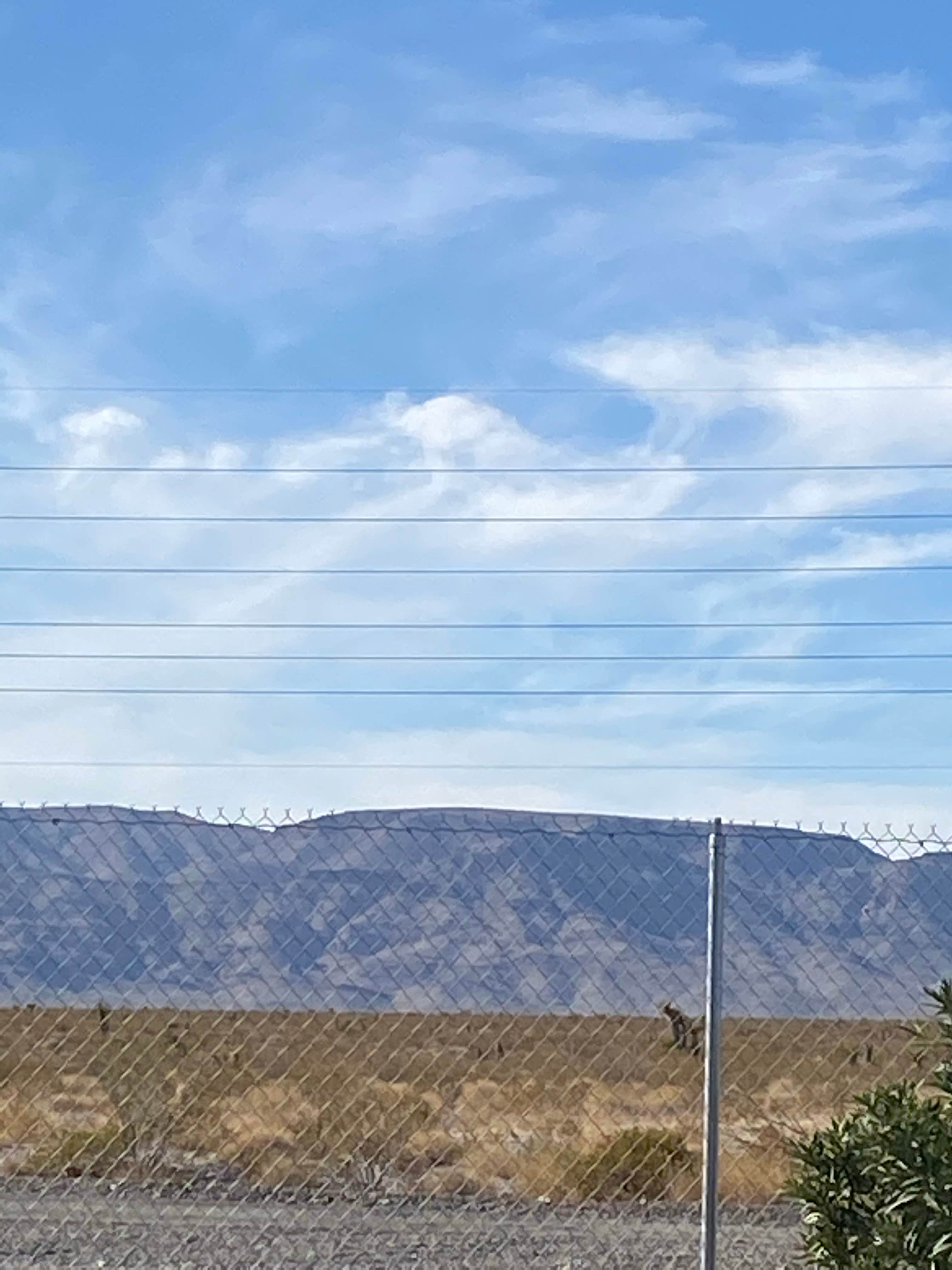 Camper-submitted photo at Dispersed-jean/roach Dry Lakes near Sloan, NV