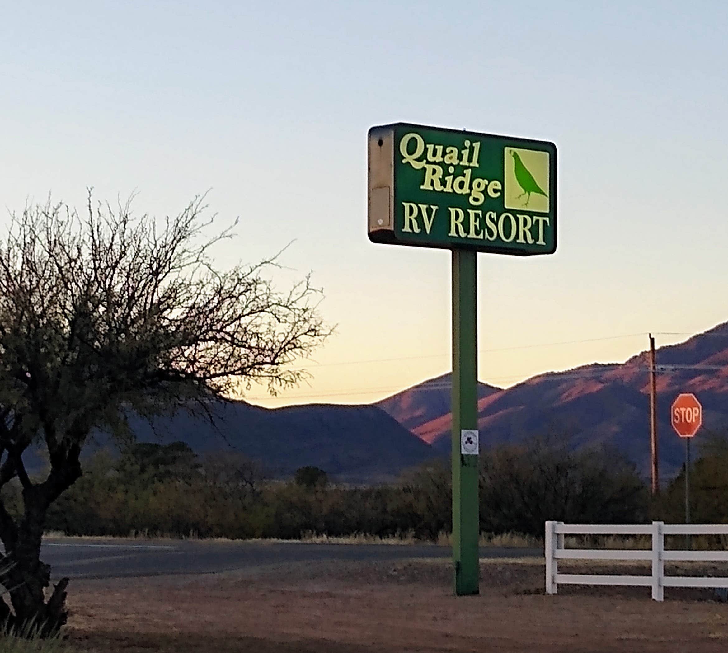Camper submitted image from Quail Ridge RV Resort - 3