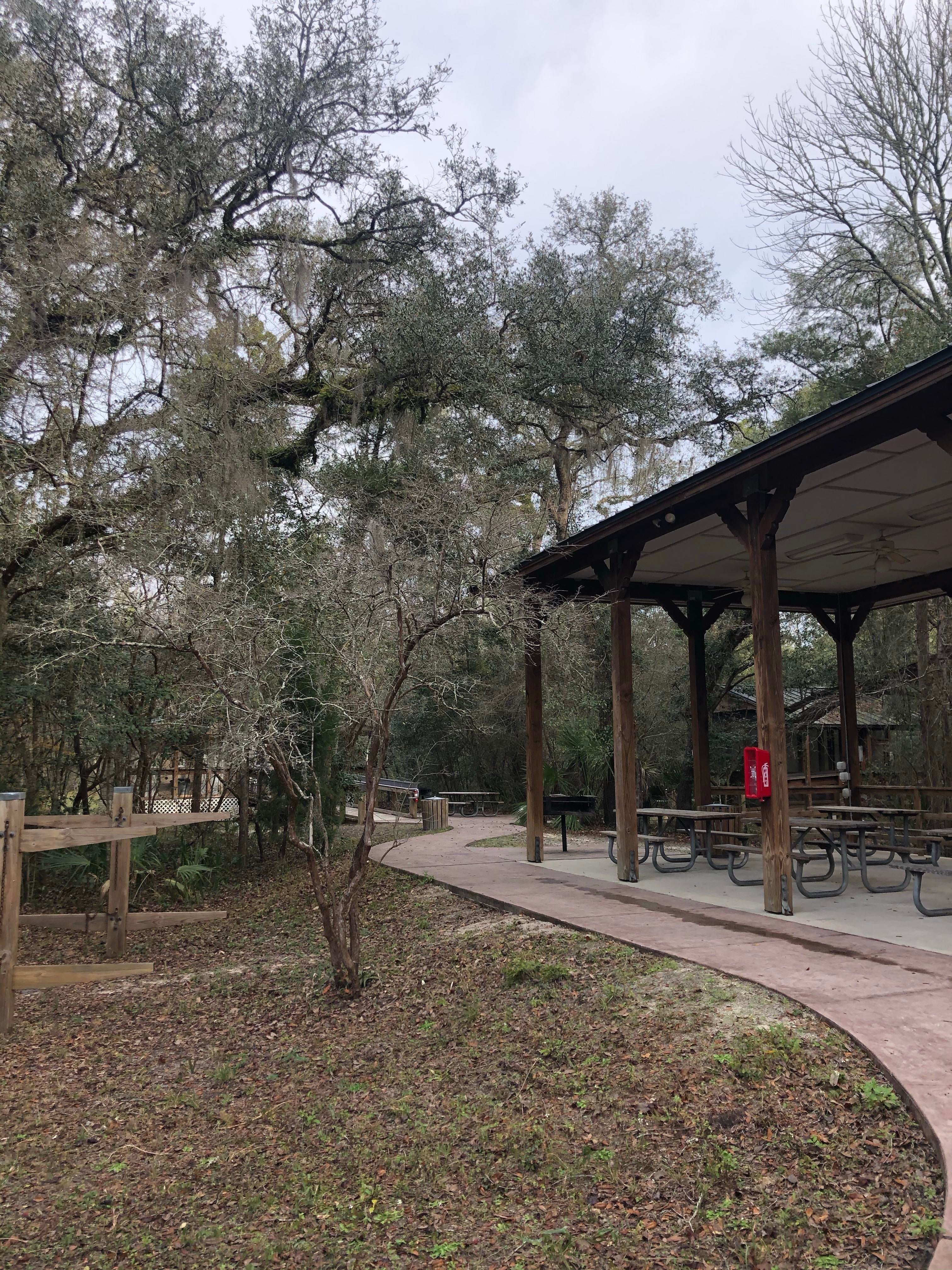 Camper submitted image from Dowling Park River Camp — Suwannee River State Park - 2