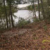 Review photo of Peacock Slough River Camp — Suwannee River Wilderness Trail by Caitlin R., January 4, 2021