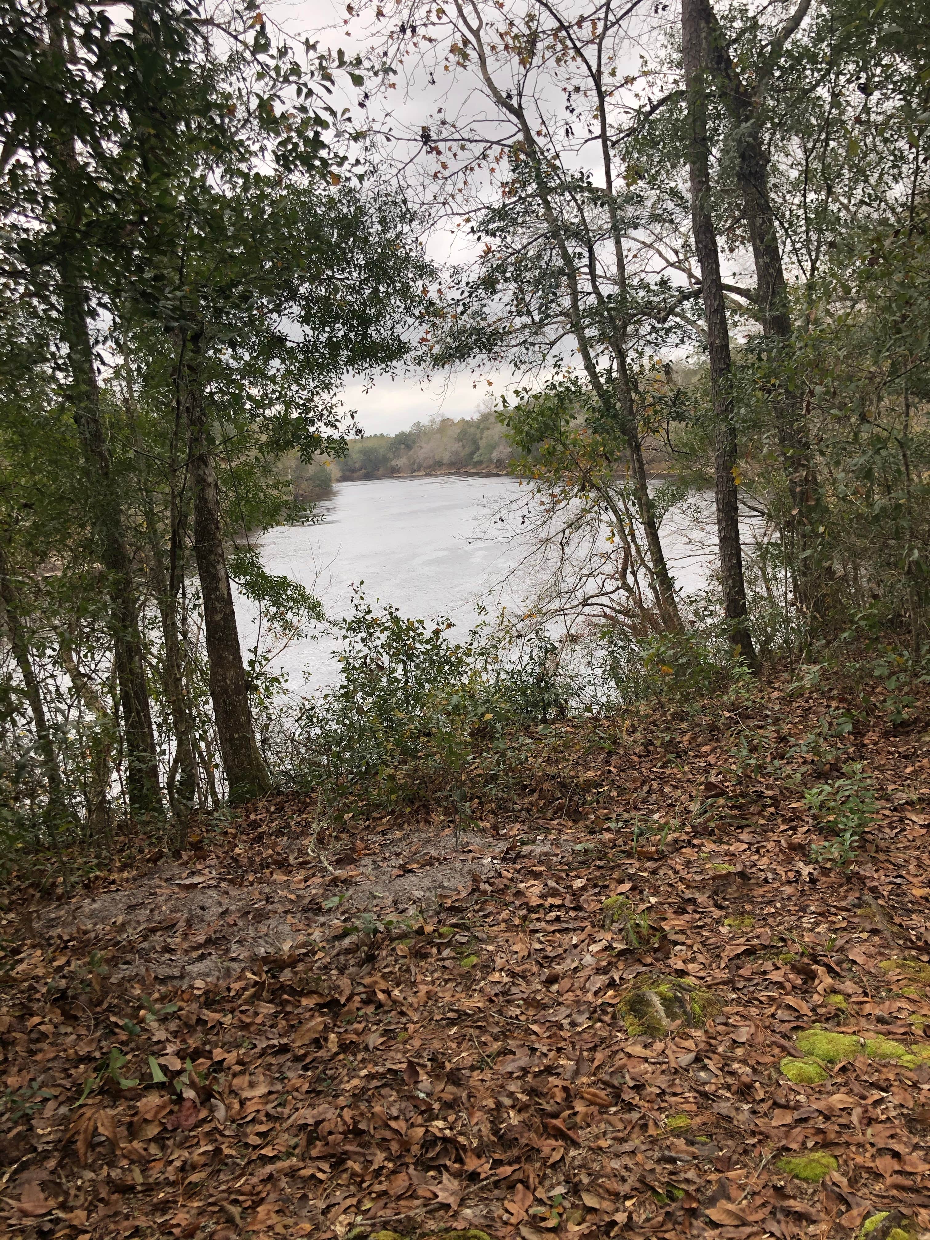 Camper submitted image from Peacock Slough River Camp — Suwannee River Wilderness Trail - 1