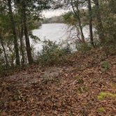 Review photo of Peacock Slough River Camp — Suwannee River State Park by Caitlin R., January 4, 2021