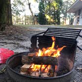 Review photo of Peacock Slough River Camp — Suwannee River Wilderness Trail by Caitlin R., January 4, 2021