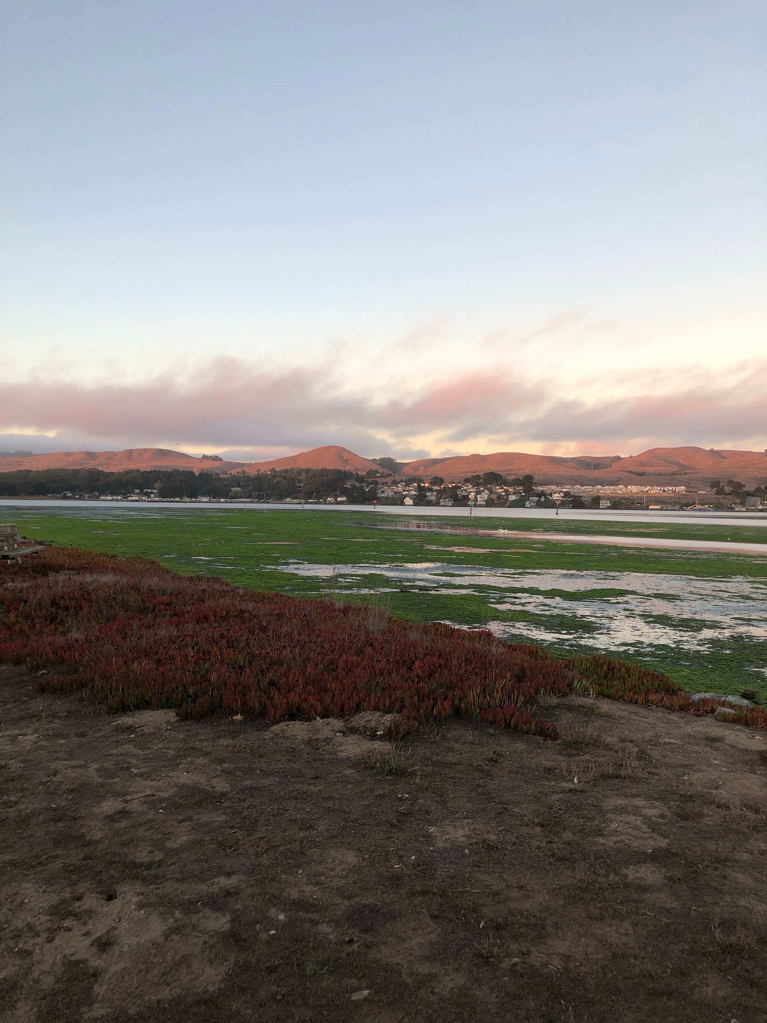 Camper-submitted photo at Westside Regional Park near Bridgehaven, CA