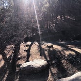 Review photo of Hualapai Mountain Park by Cassidy I., January 4, 2021