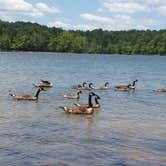 Review photo of Kerr Lake State Recreation Area Henderson Point by Tanya D., May 27, 2018