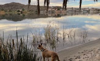 Kate W.'s photo of camping with pets at Crossroads Campground near Parker Dam, CA