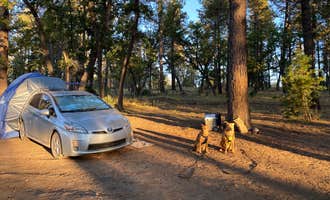Camping near Chevelon Crossing Campground: FR 66, Forest Lakes, Arizona